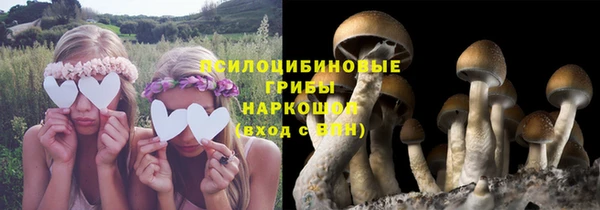 крисы Алексеевка