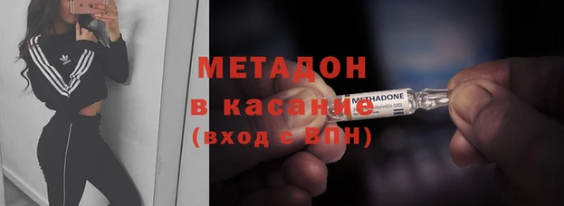 индика Алзамай