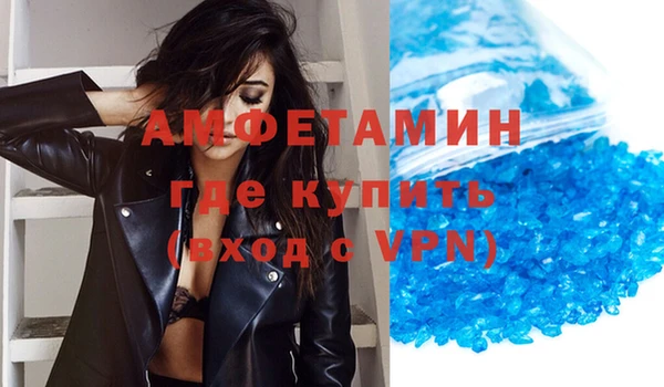 индика Алзамай