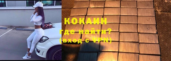 индика Алзамай
