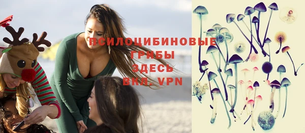крисы Алексеевка