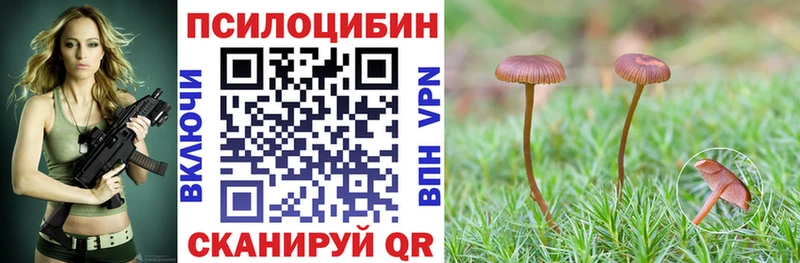 магазин    Солигалич  дарк нет наркотические препараты  Галлюциногенные грибы GOLDEN TEACHER 